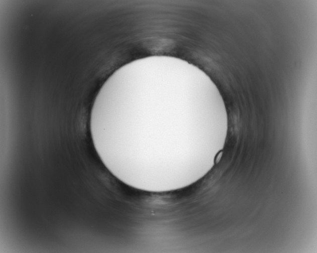 X0000088050664200706081630