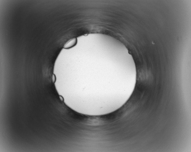 X0000088050666200706081630