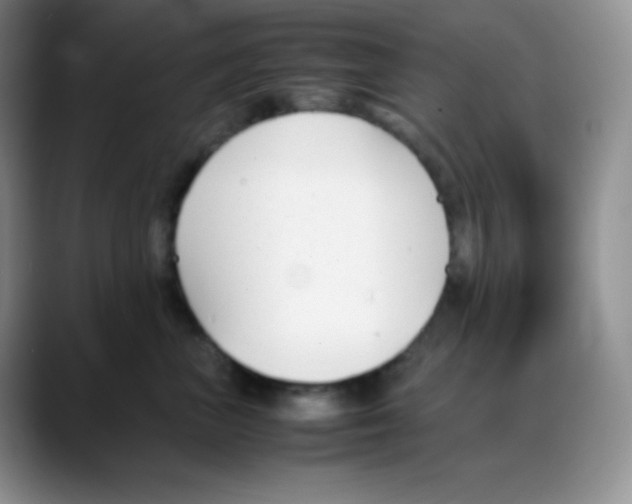 X0000088050667200706081630