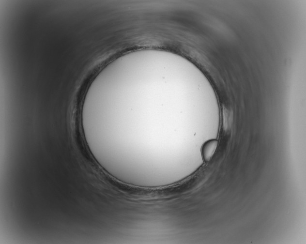 X0000088050675200706081630