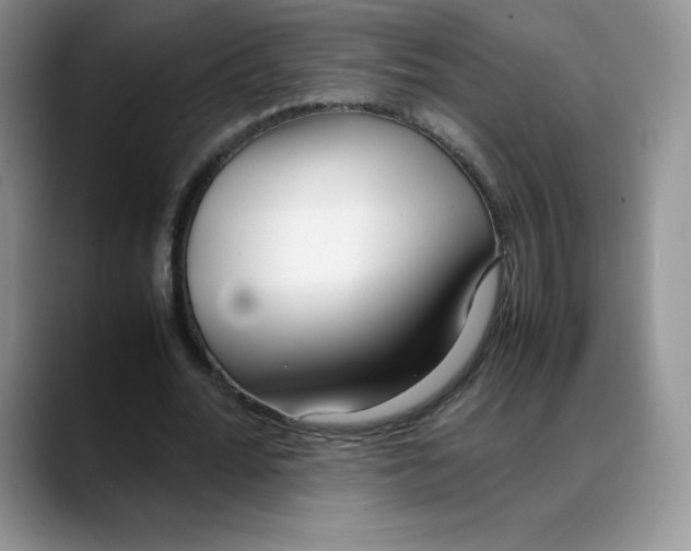 X0000088050676200706081630