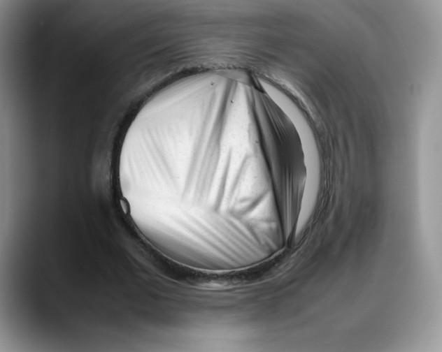 X0000088050677200706081630