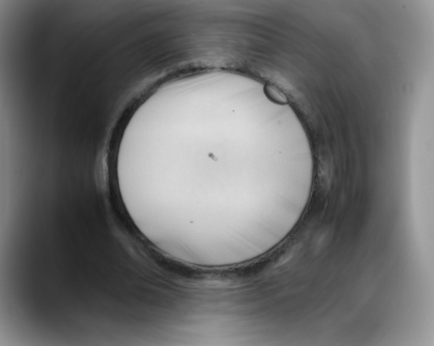 X0000088050678200706081630