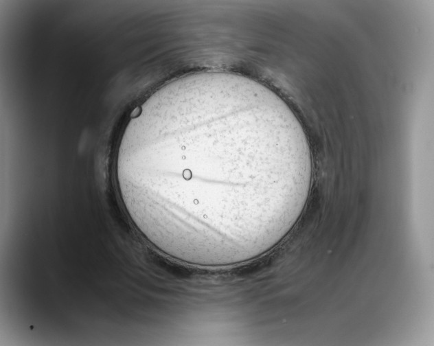 X0000088050679200706081630