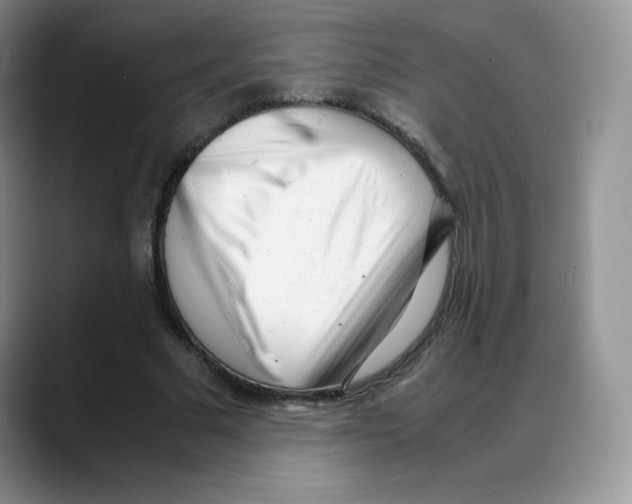 X0000088050681200706081630