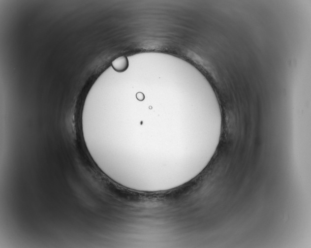 X0000088050682200706081630