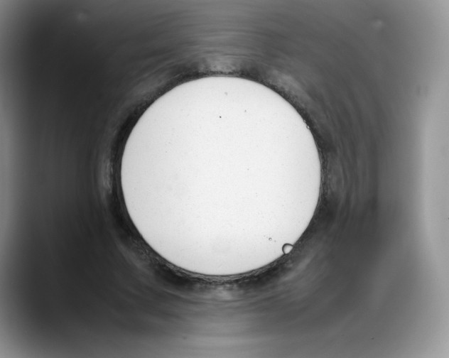 X0000088050683200706081630