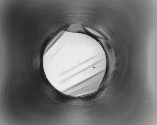 X0000088050685200706081630