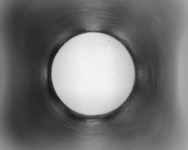 X0000088050686200706081630