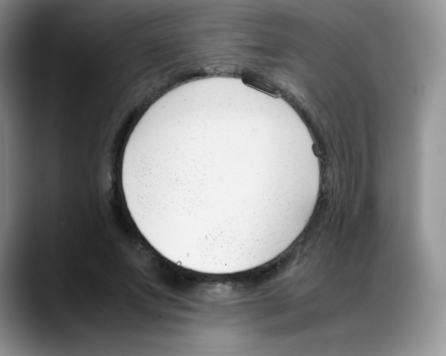 X0000088050687200706081630