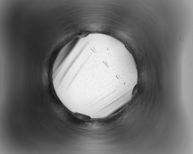 X0000088050688200706081630