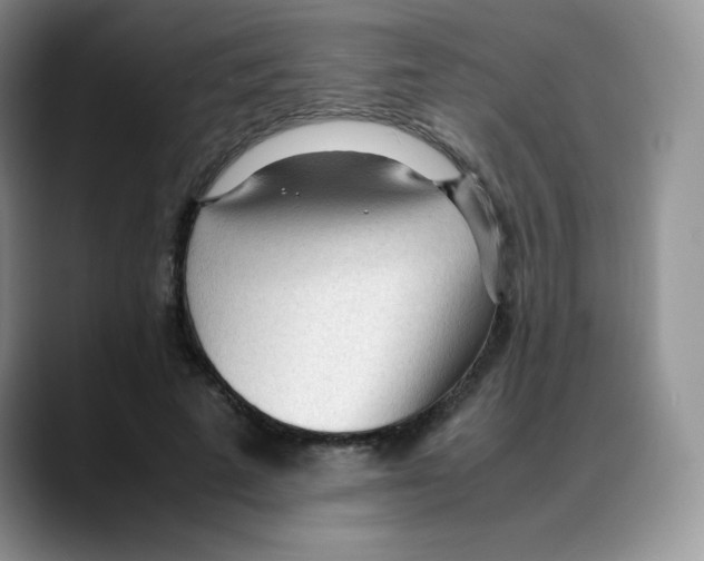 X0000088050689200706081630