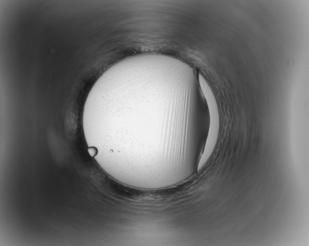 X0000088050691200706081630