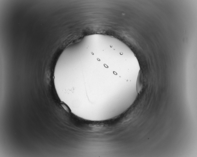 X0000088050693200706081630