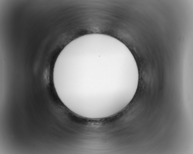 X0000088050694200706081630