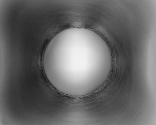X0000088050696200706081629