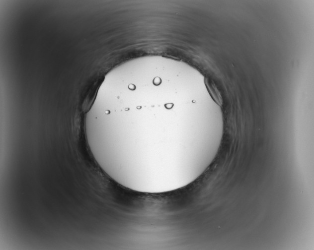 X0000088050697200706081629