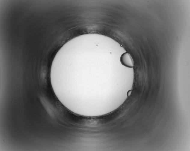 X0000088050698200706081629