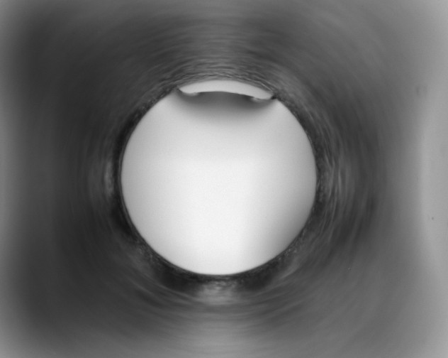 X0000088050700200706081629
