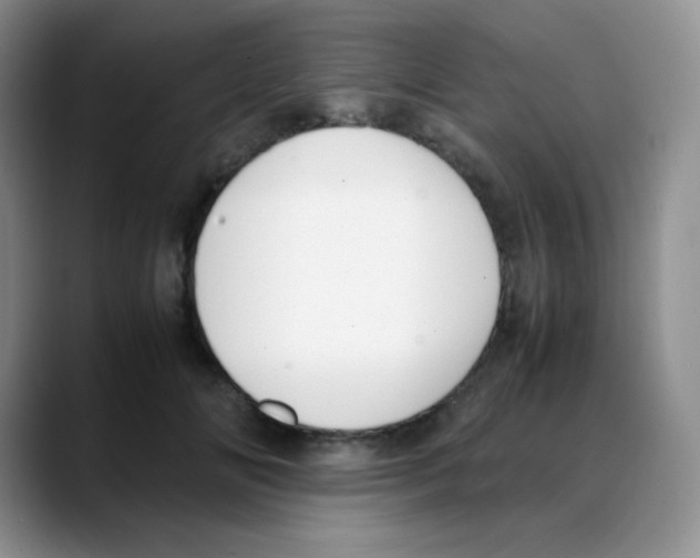 X0000088050702200706081629