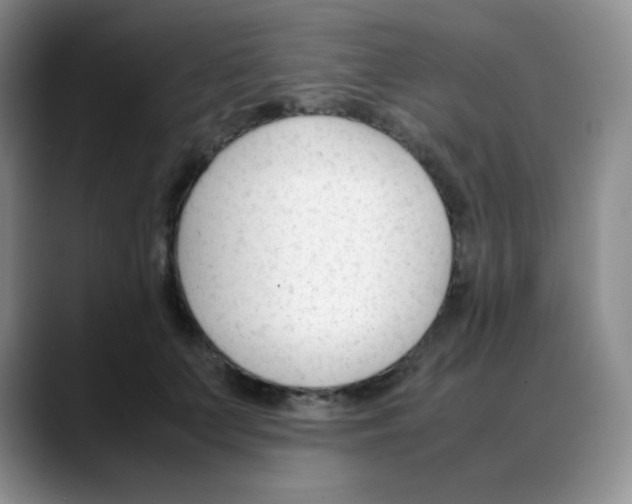 X0000088050703200706081629