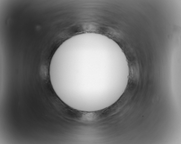 X0000088050705200706081629