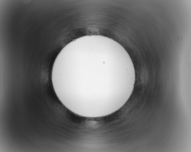 X0000088050706200706081629