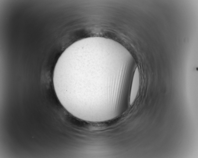 X0000088050707200706081629