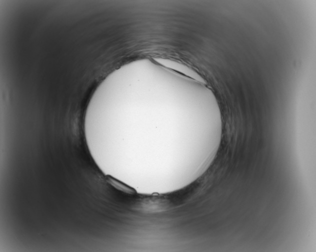 X0000088050708200706081629