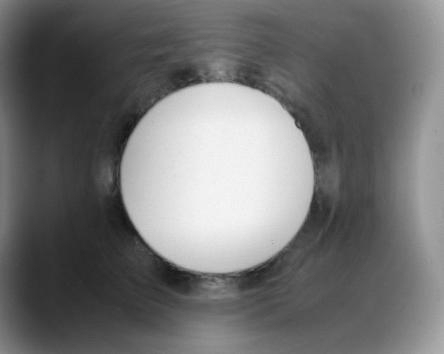 X0000088050709200706081629