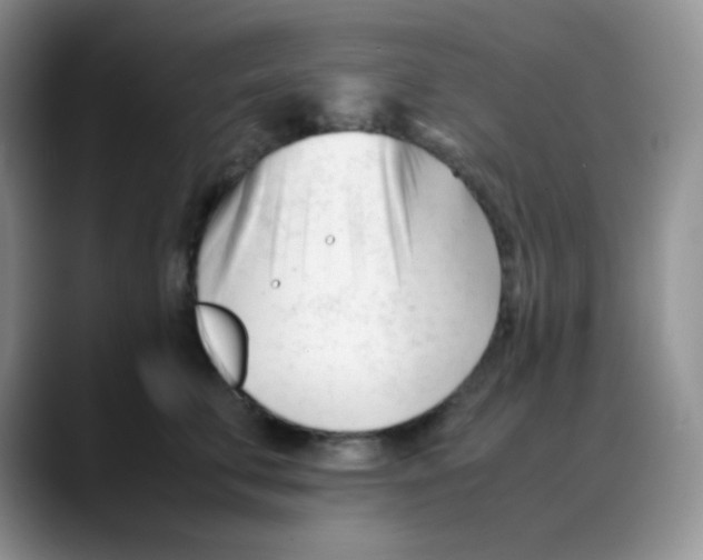 X0000088050711200706081629