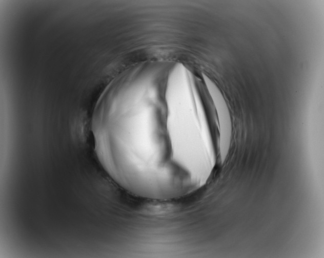 X0000088050712200706081629