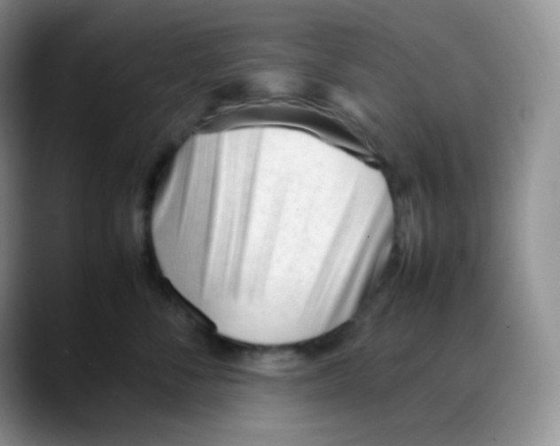 X0000088050716200706081629