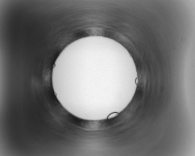X0000088050717200706081629