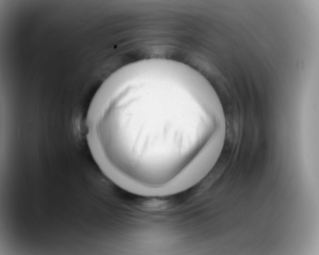X0000088050718200706081629