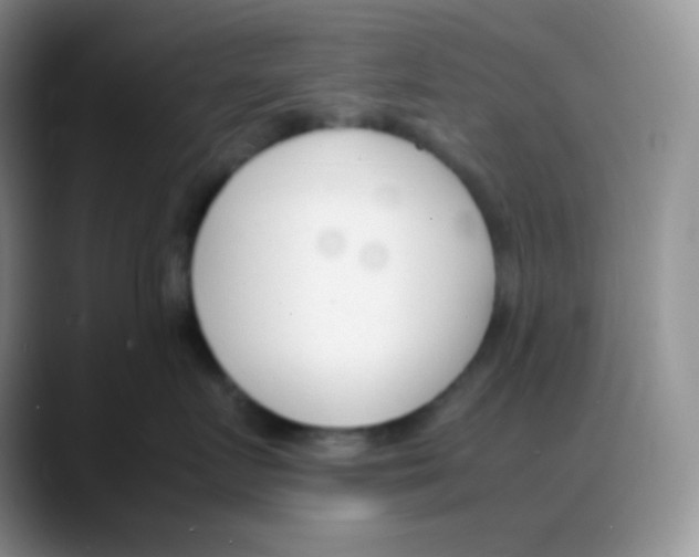 X0000088050719200706081629