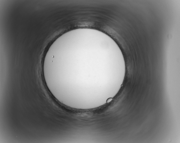 X0000088050721200706081629
