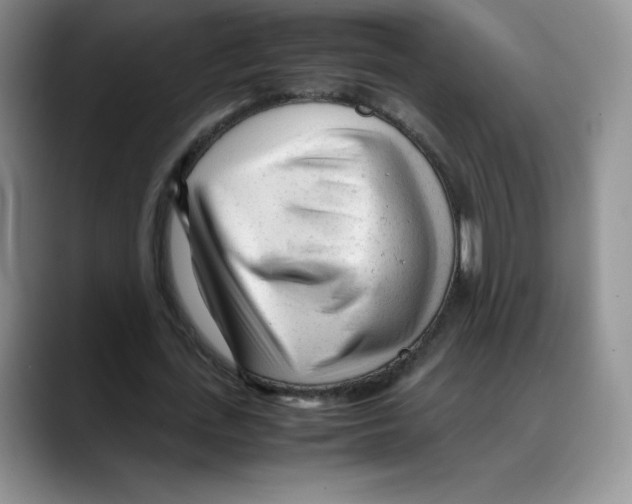 X0000088050723200706081629