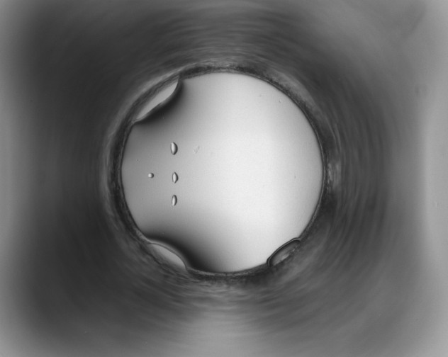 X0000088050724200706081629