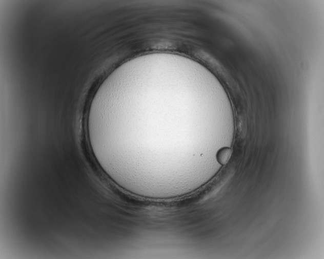 X0000088050725200706081629