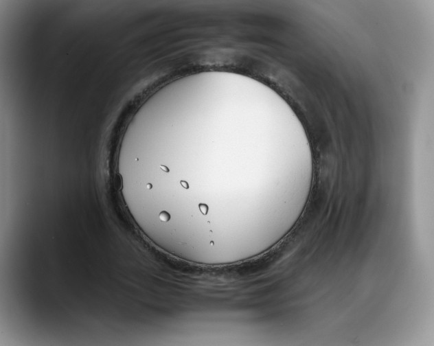 X0000088050727200706081629