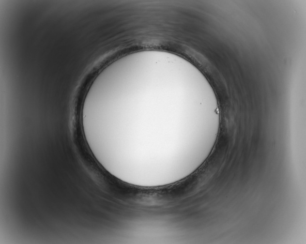 X0000088050728200706081629