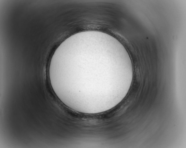 X0000088050729200706081629