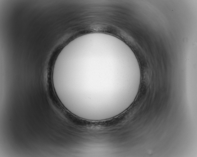 X0000088050730200706081629