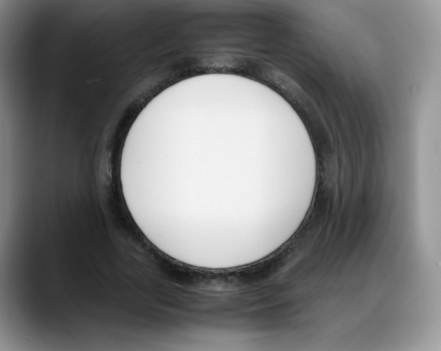 X0000088050731200706081629