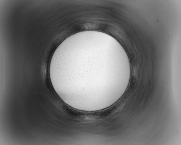 X0000088050733200706081629