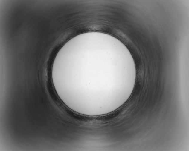 X0000088050734200706081629