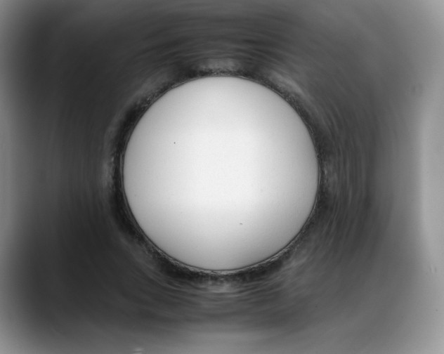 X0000088050735200706081629