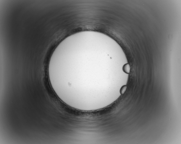 X0000088050738200706081629