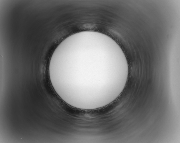 X0000088050739200706081629